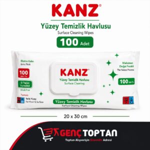 KANZ YÜZEY TEMİZLİK HAVLUSU 100LÜ